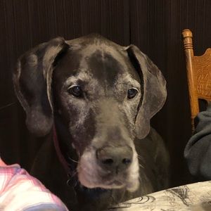 Meet your Posher, Annette